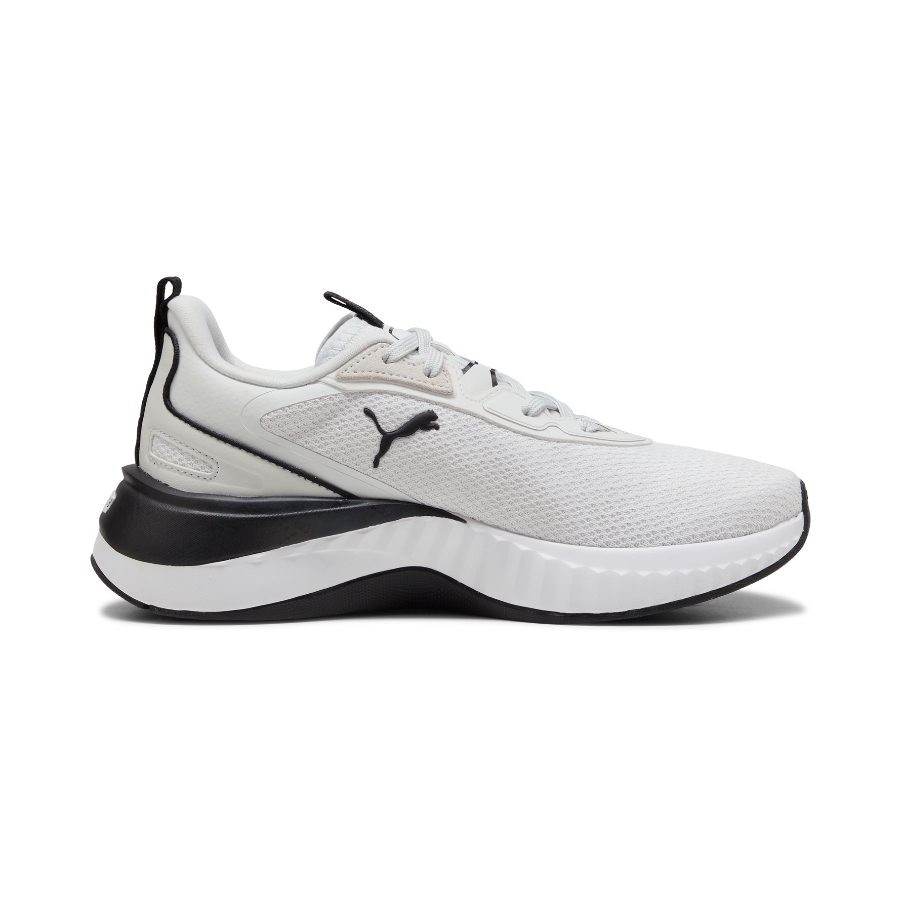 PUMA 311208 SOFTRIDE SERA WNS