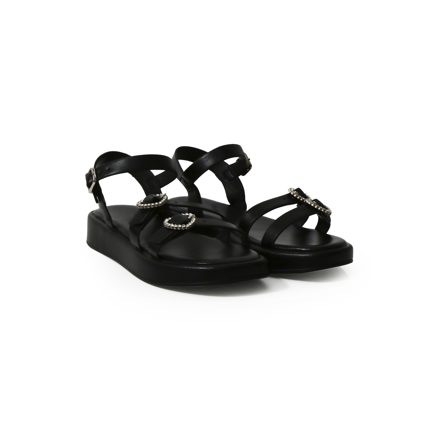 Charlotte-1K CXL1136-7