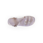 Charlotte-1K CXL1136-7