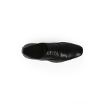 Tomasso  HPB-1230-7