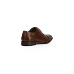 Tomasso  HPB-1230-7