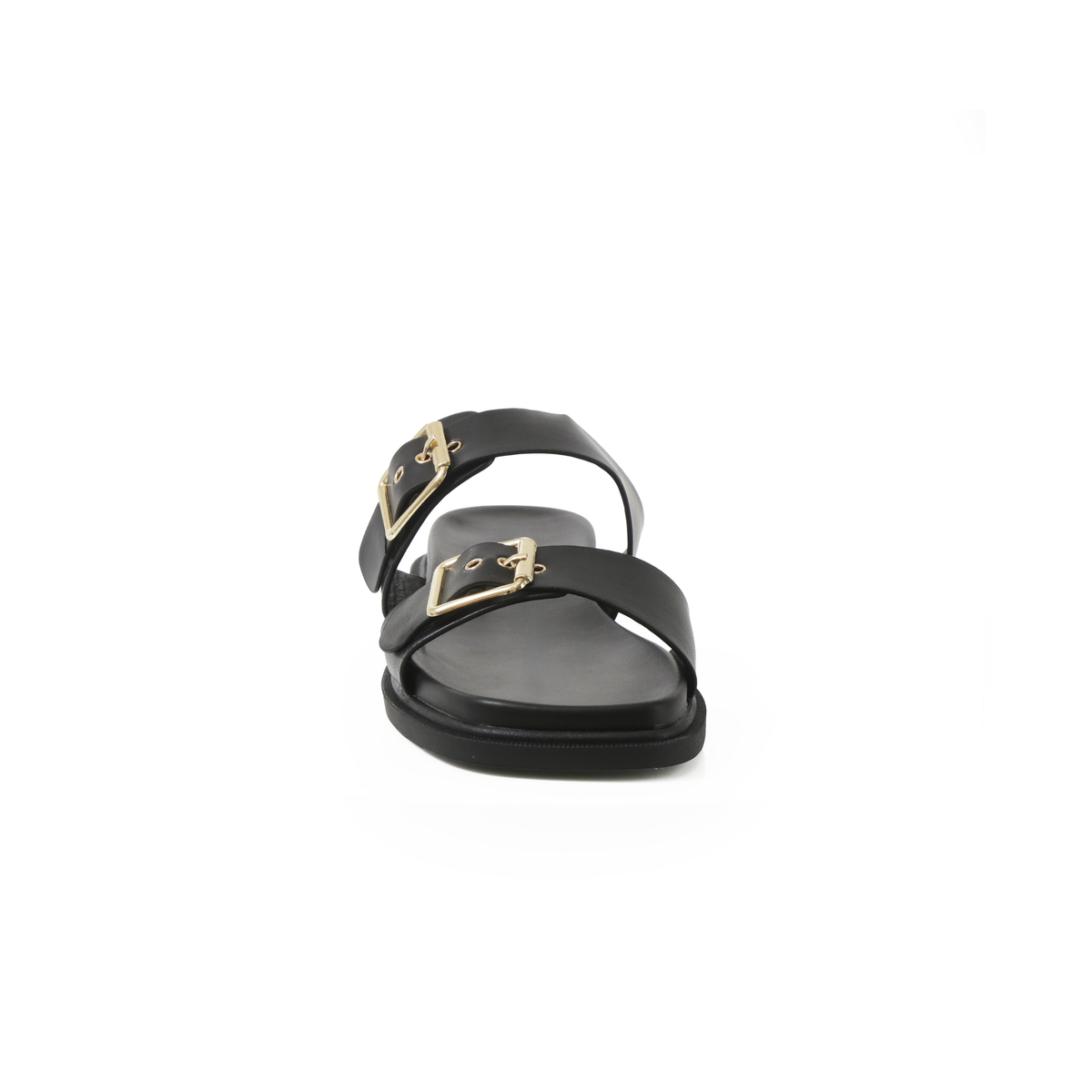 Nessa-2 JCJ2450-3