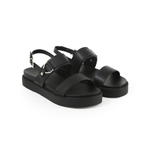 Top-3 MH230206