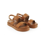 Top-3 MH230206
