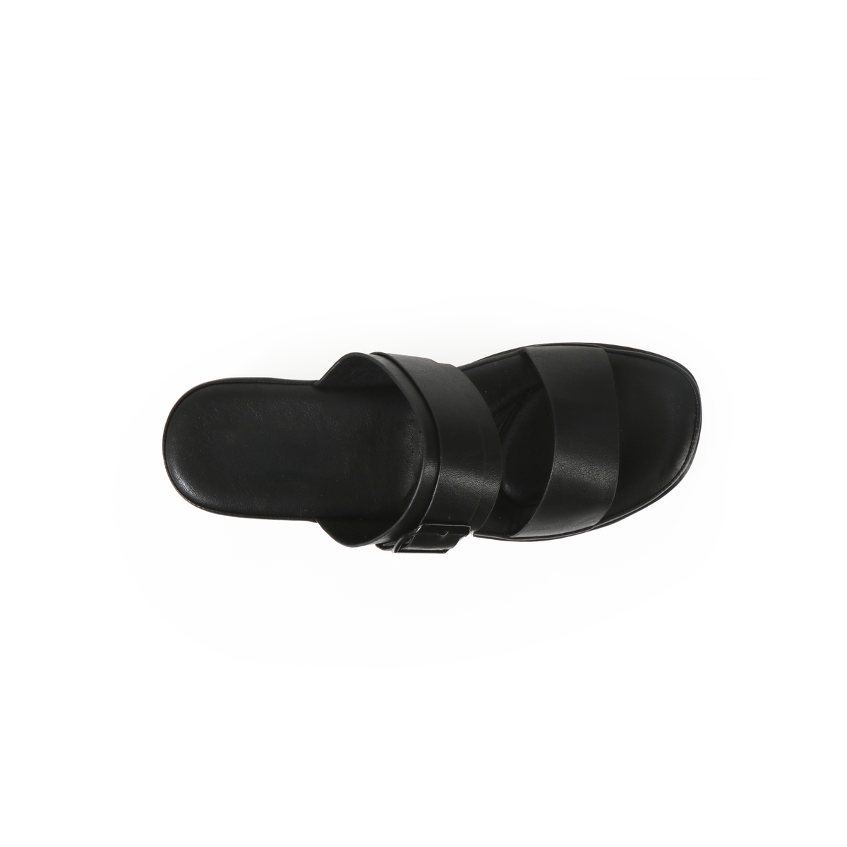 Body-1 JCS2481-2