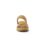Body-1 JCS2481-2