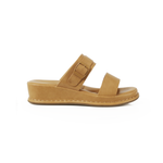 Body-1 JCS2481-2