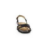 Holly-2 SK1013-H1