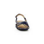 Holly-2 SK1013-H1