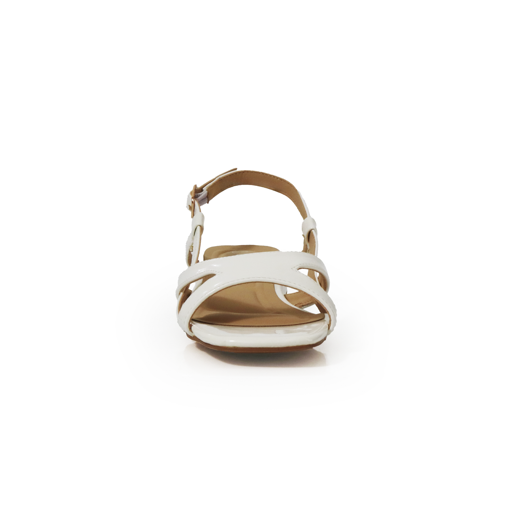 Holly-2 SK1013-H1